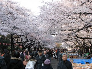 800px-Ueno_park